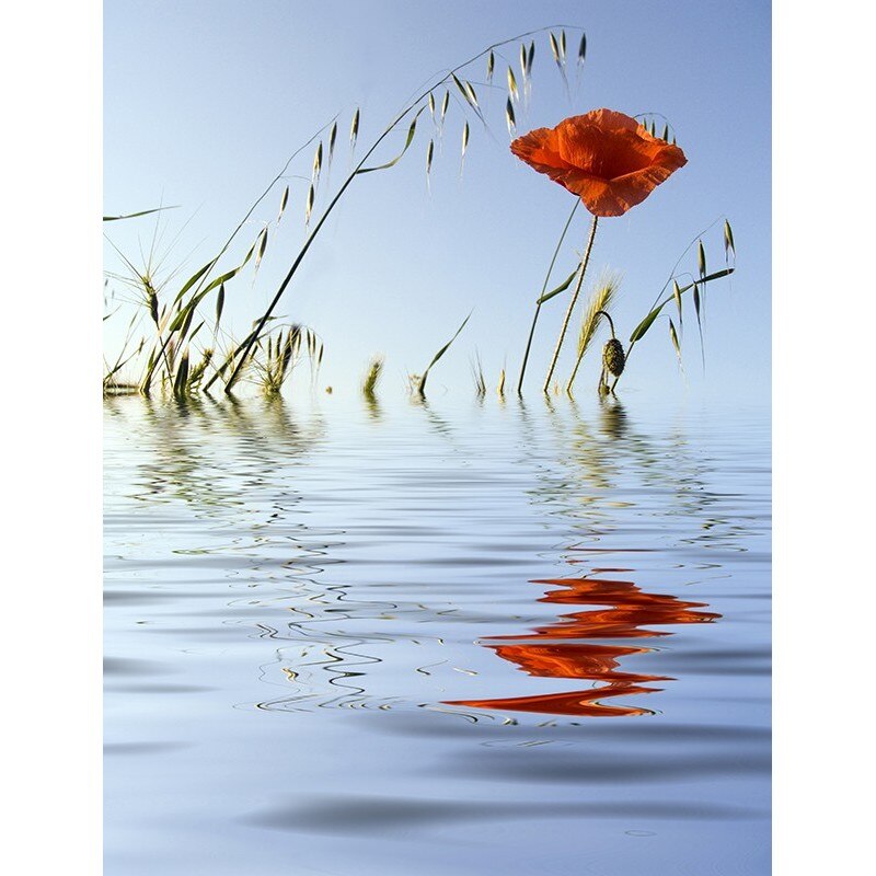 Tablou canvas, produs DekoStore, pentru dormitor/living/birou, inramat pe cadru de lemn, print HD, Floare de mac oglindita in apa, 30x40 cm