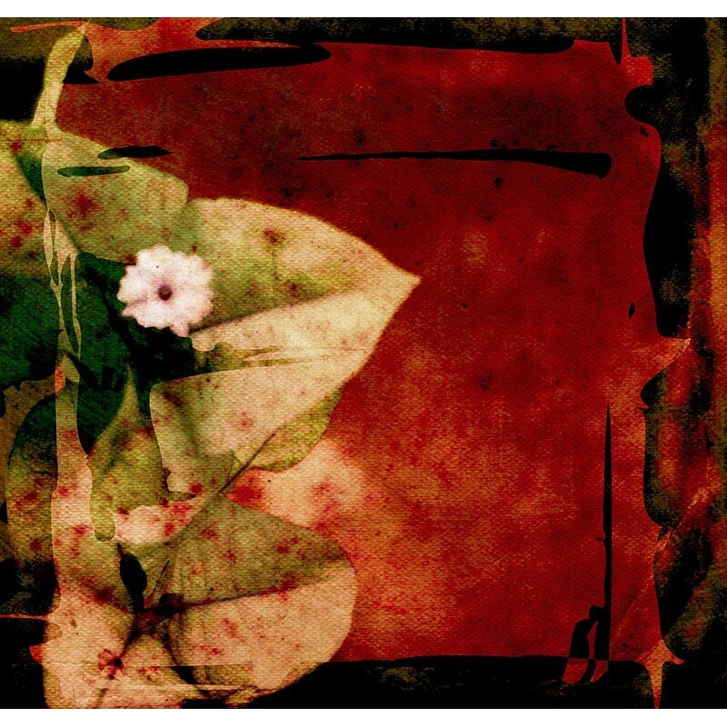 Tablou canvas, produs DekoStore, pentru dormitor/living/birou, inramat pe cadru de lemn, print HD, Flori pe panza in stil vintage, 40x40 cm