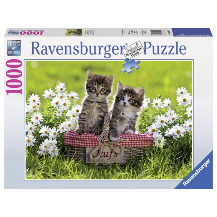 Ravensburger puzzle, 1000 darabos