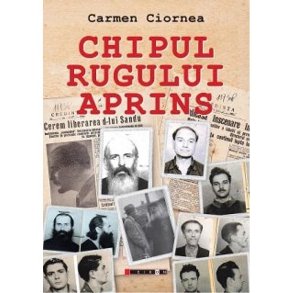 Chipul rugului aprins - Carmen Ciornea