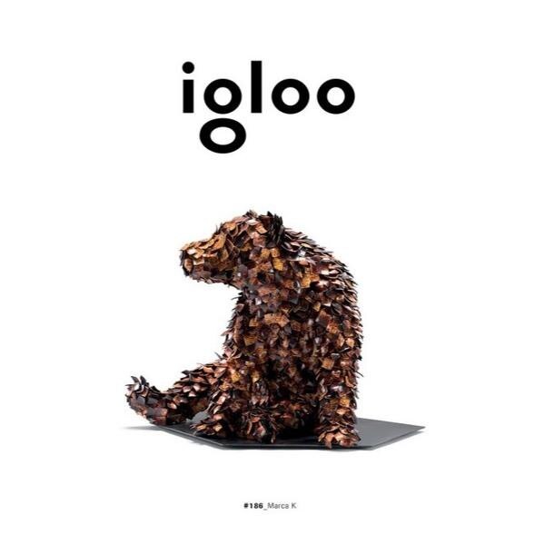 Igloo - Habitat si arhitectura - Octombrie, Noiembrie 2018