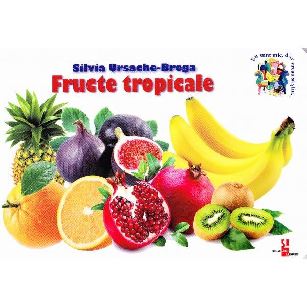 Fructe tropicale - Silvia Ursache-Brega