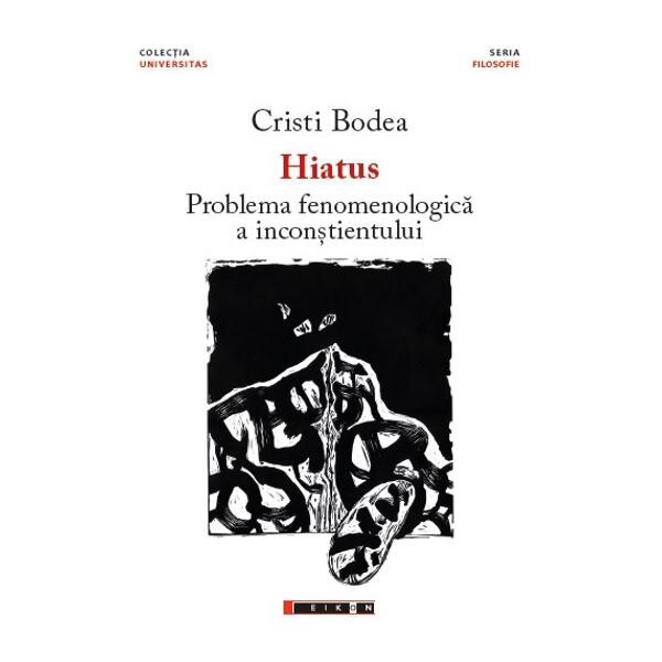 Hiatus. Problema fenomenologica a inconstientului - Cristi Bodea