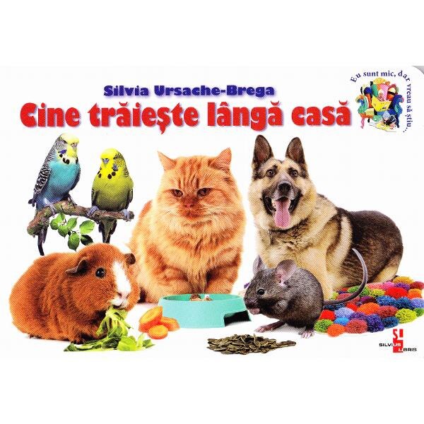 Cine traieste langa casa - Silvia Ursache-Brega