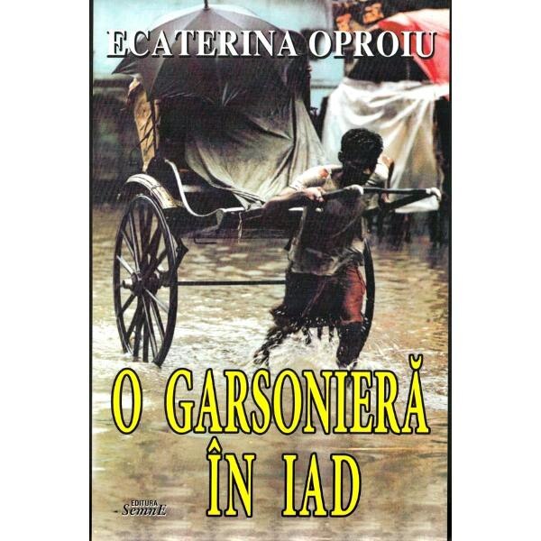 O garsoniera in iad - Ecaterina Oproiu