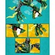 Set caramizi constructie Ninja Thunder Swordsman Green Dragon