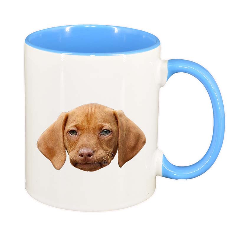 Cana Dog, interior albastru, 330ml, D93