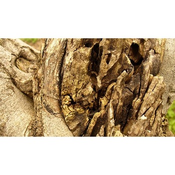 Tablou canvas, produs DekoStore, pentru living/dormitor/birou, inramat pe cadru de lemn, print HD, Lemn vechi uscat, 40x30 cm Tablou canvas, produs DekoStore, pentru living/dormitor/birou, inramat pe cadru de lemn, print HD, Lemn vechi uscat, 40x30 cm