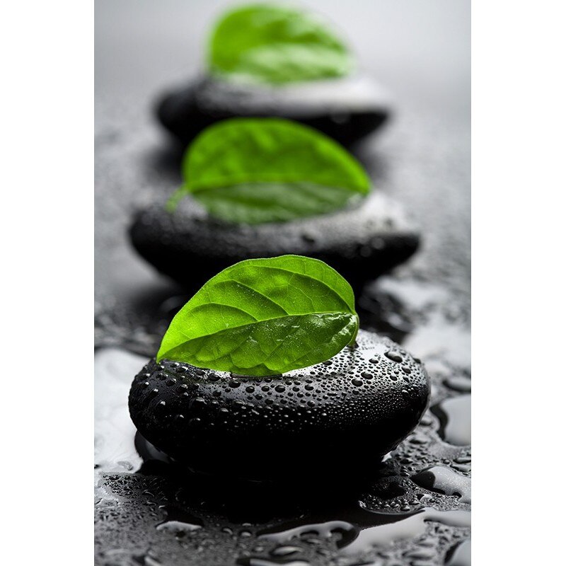 Tablou canvas, produs DekoStore, pentru living/dormitor/birou, inramat pe cadru de lemn, print HD, Pietre si frunze verzi, 60x80 cm