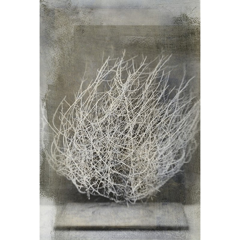 Tablou canvas, produs DekoStore, pentru living/dormitor/birou, inramat pe cadru de lemn, print HD, Floarea desertului, 30x40 cm