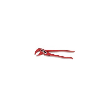 Cleste papagal Ridgid 1 1/2 Cleste papagal Ridgid 1 1/2