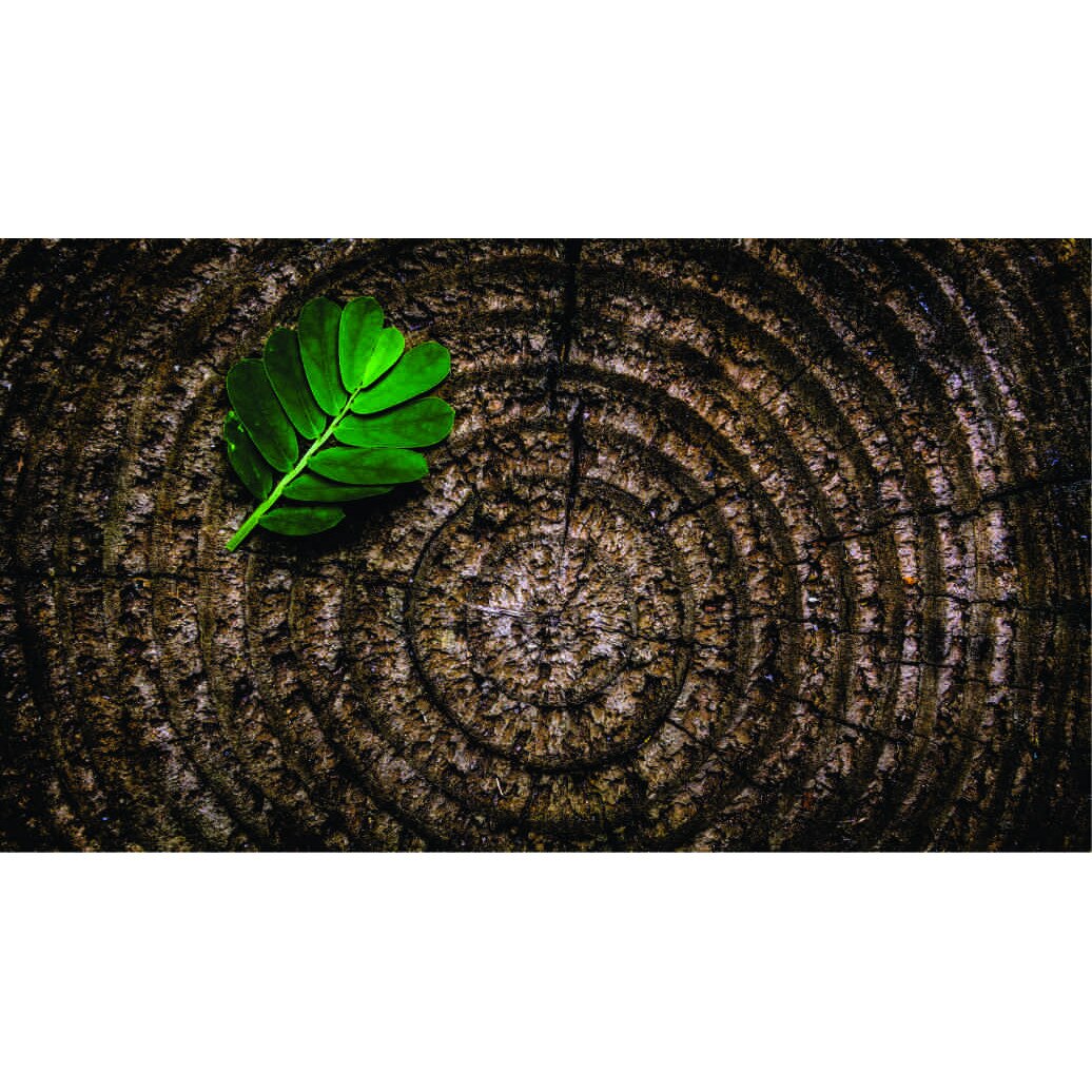 Fototapet Abstract, 177x100 cm