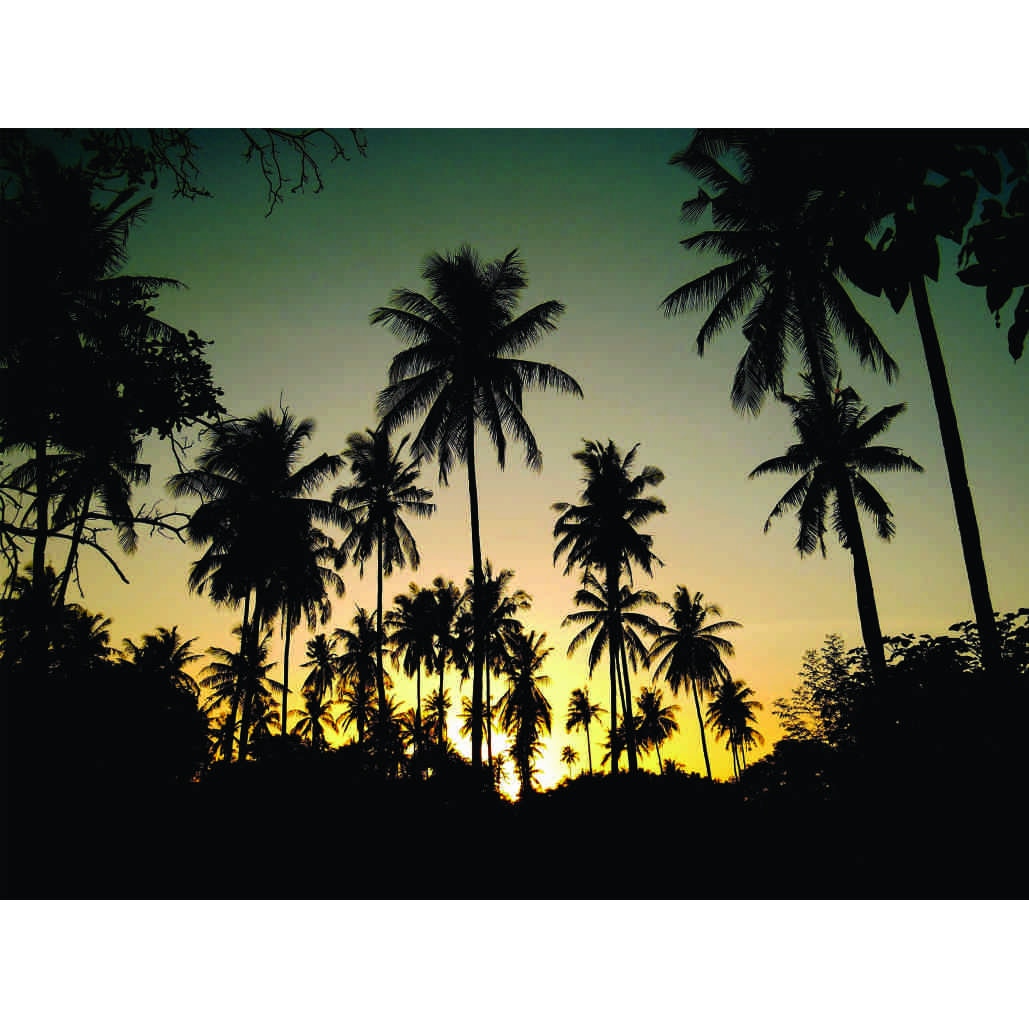 Fototapet Palmieri,160x120cm