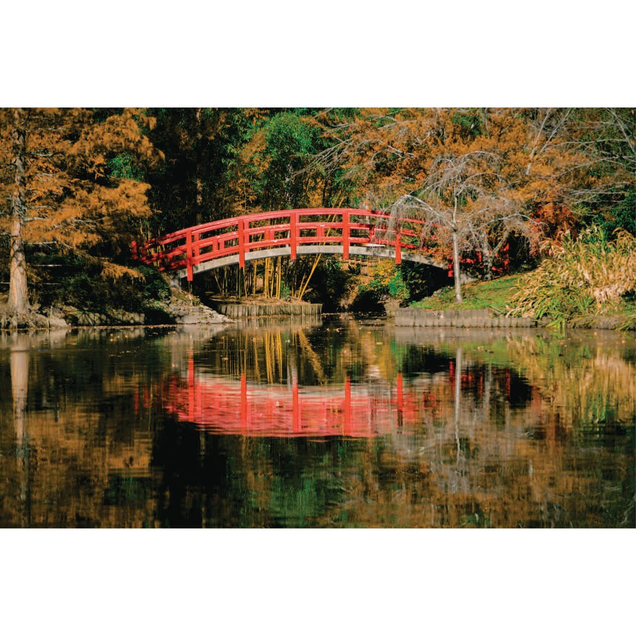 Fototapet natura, 150x100 cm