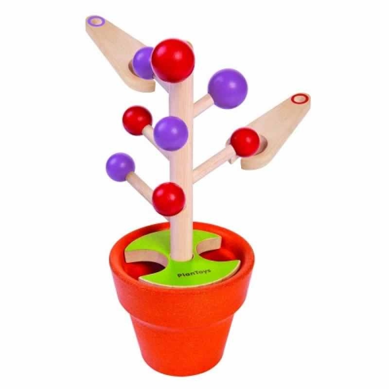 Bingo pe anotimpuri Multicolor