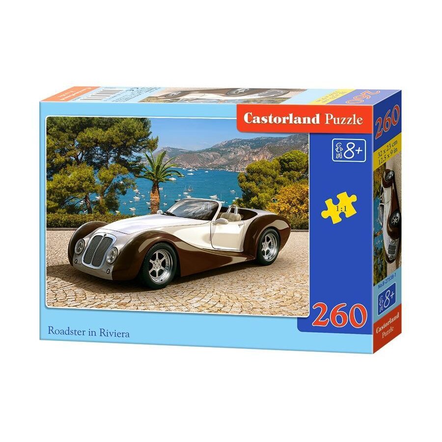 Puzzle cu 260 de piese Bolid 27538, Castorland
