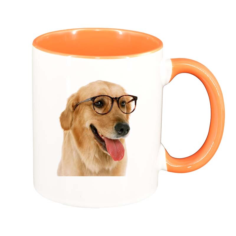 Cana Caine, interior portocaliu, 330ml, D180