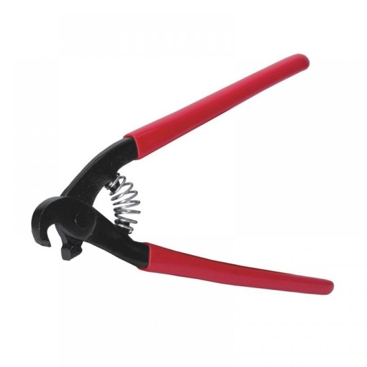 Dedra harapófogó papagáj