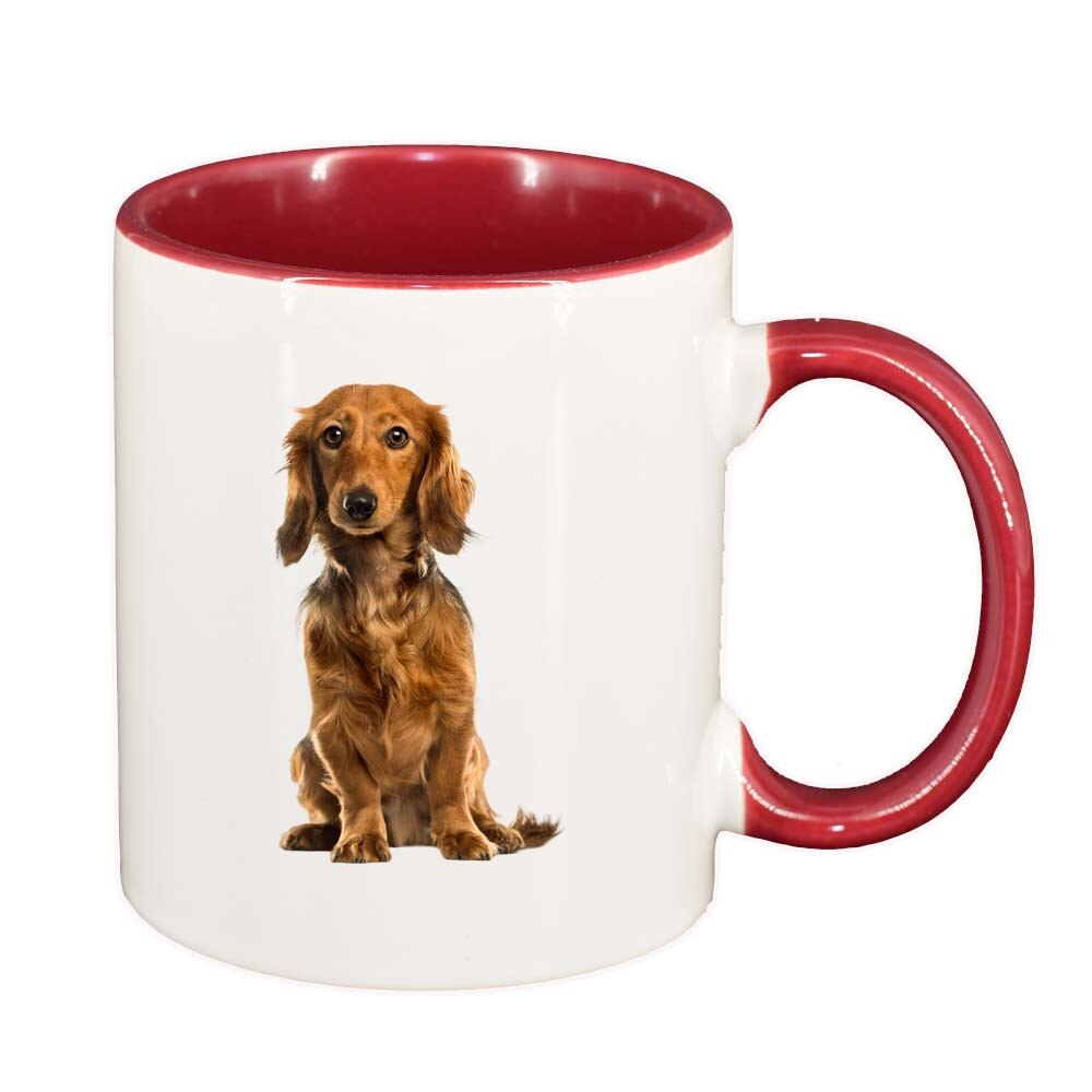 Cana Caine, interior rosu, 330ml, D200