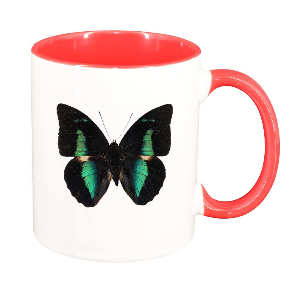 Cana Fluture, interior rosu, 330ml, D205