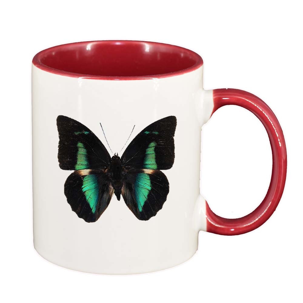 Cana Fluture, interior rosu, 330ml, D205