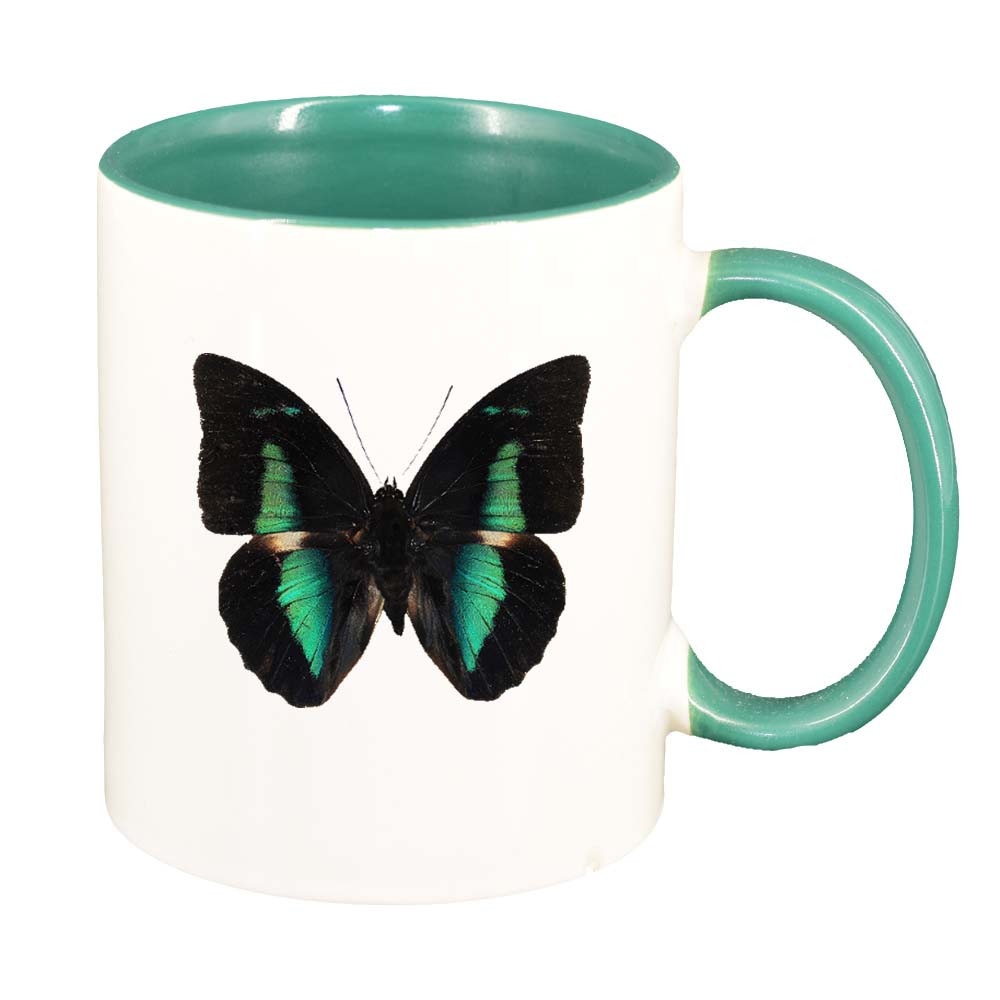 Cana Fluture, interior verde, 330ml, D205