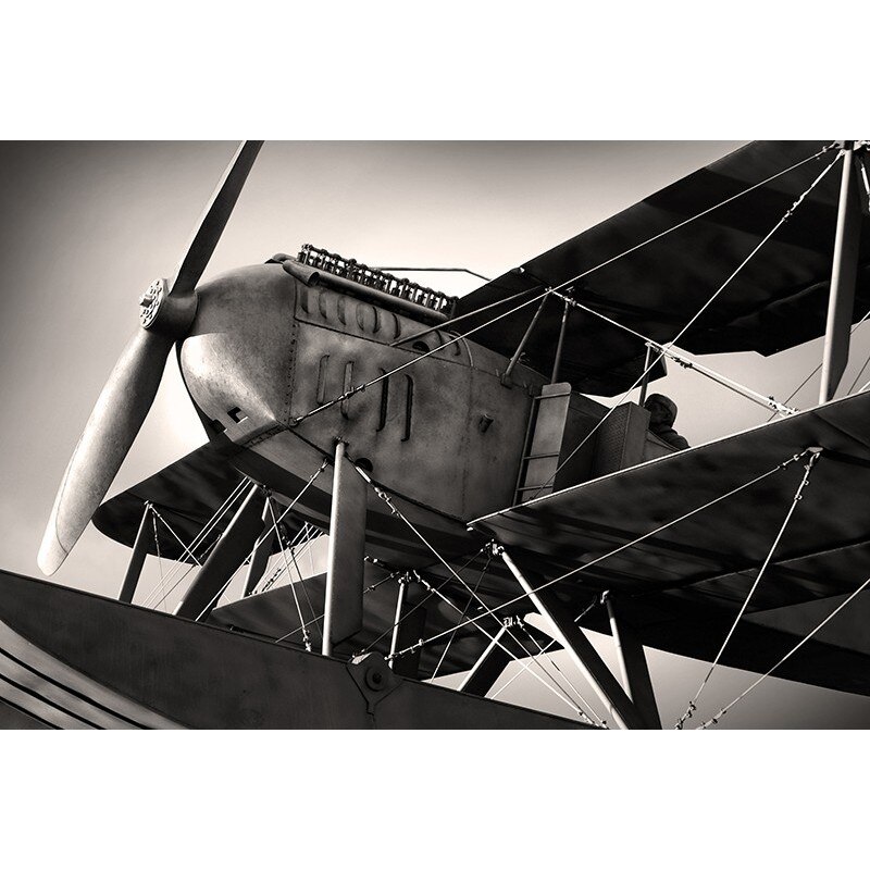 Tablou canvas, produs DekoStore, pentru living/dormitor/birou, inramat pe cadru de lemn, print HD, Avion vechi, 30x40 cm