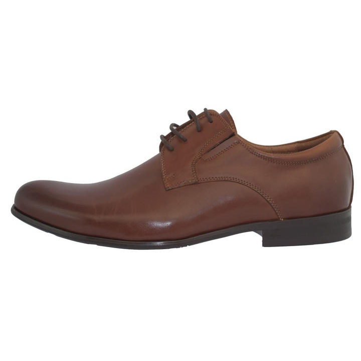 Pantofi eleganti barbati, din piele naturala, Eldemas, 2811-1BS-16-24, maro, Maro, 38