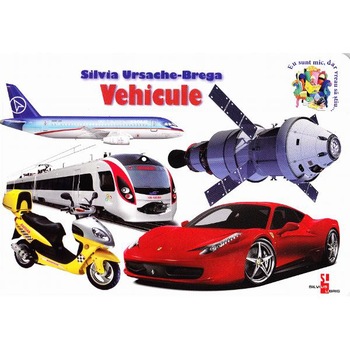Vehicule - Silvia Ursache-Brega Vehicule - Silvia Ursache-Brega