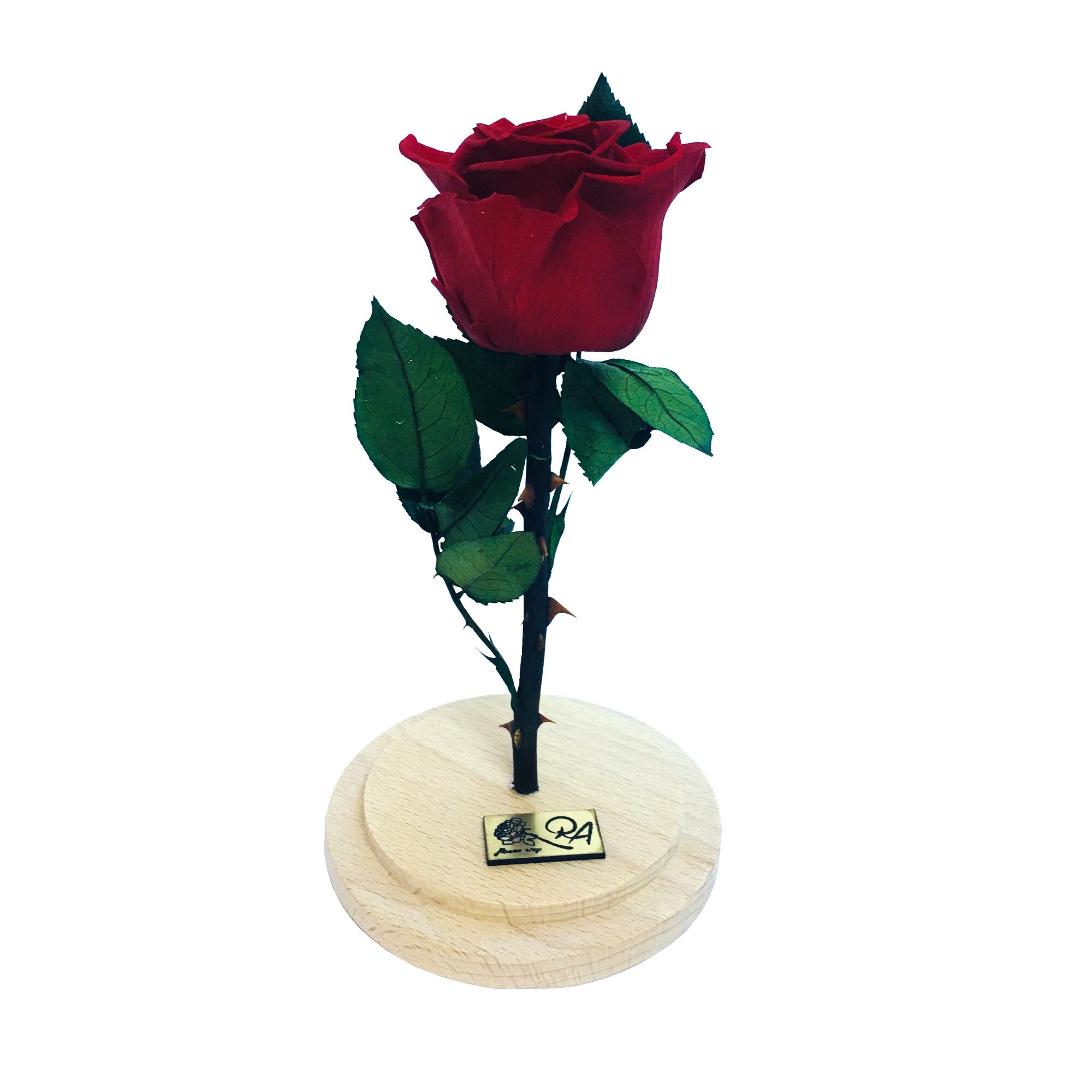 Trandafir criogenat rosu