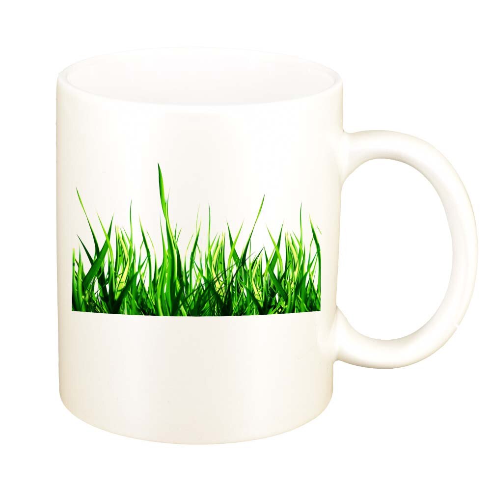 Cana Iarba, alb sidefata, 330ml, D242