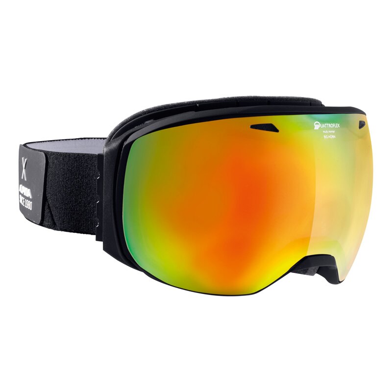 Ochelari Alpina Big Horn QMM black matt/black nurbs