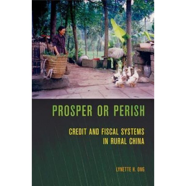 Prosper or Perish: Credit and Fiscal Systems in Rural China - Lynette H. Ong (Author)