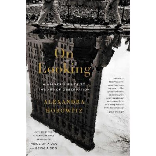 On Looking: Eleven Walks with Expert Eyes, Alexandra Horowitz (Author)