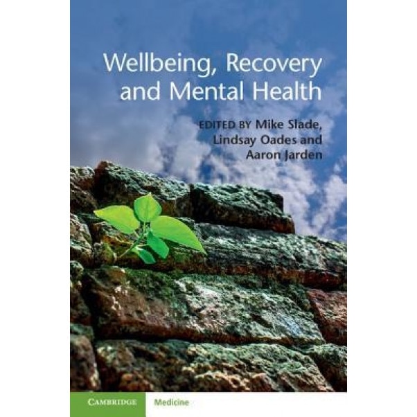 Wellbeing, Recovery and Mental Health - Mike Slade (Editor)