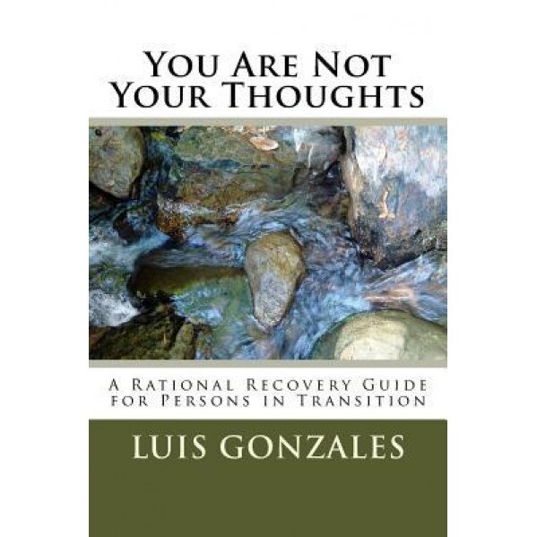 You Are Not Your Thoughts: A Self-Directed Transformational Guide for Persons in Early Recovery Fro Addictive Disorders - Louis D. Gonzales Ph. D. (Author)