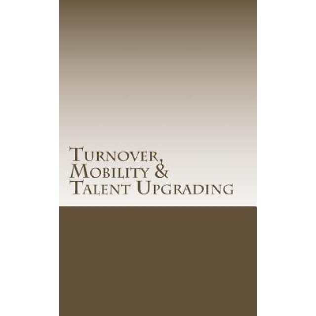 Turnover, Mobility & Talent Upgrading - Steffen Parratt (Author)