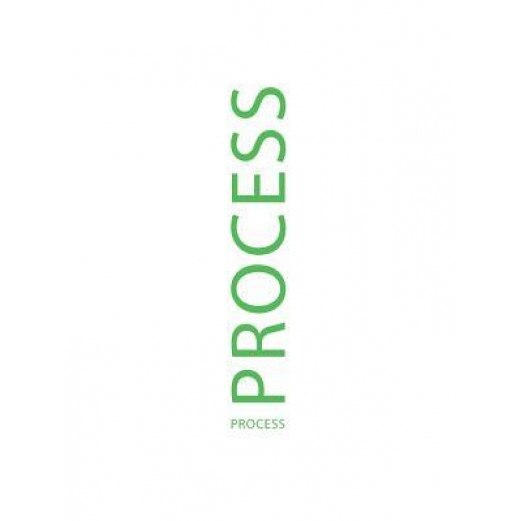 Process - Stefan Green Meinel (Author)