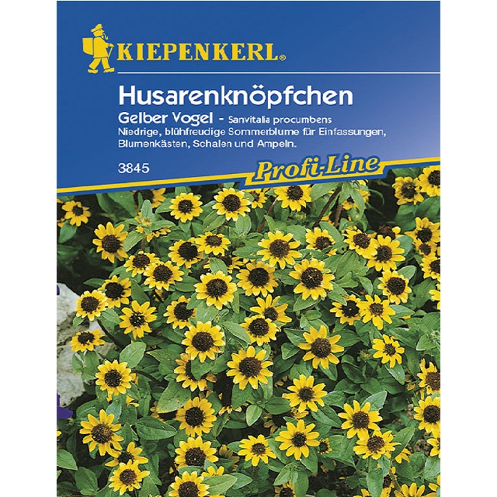 Seminte de Nasturele Husarului, plic de 50 seminte