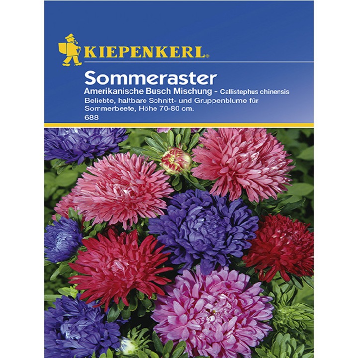 Seminte de Ochiul Boului American Bush, plic de 50 seminte