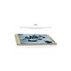 CUBOT A5, 8Core, cadru Metal, Auriu