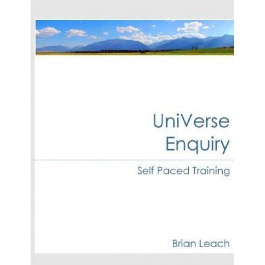 Universe Enquiry Self Paced Training - Brian Leach (Author)