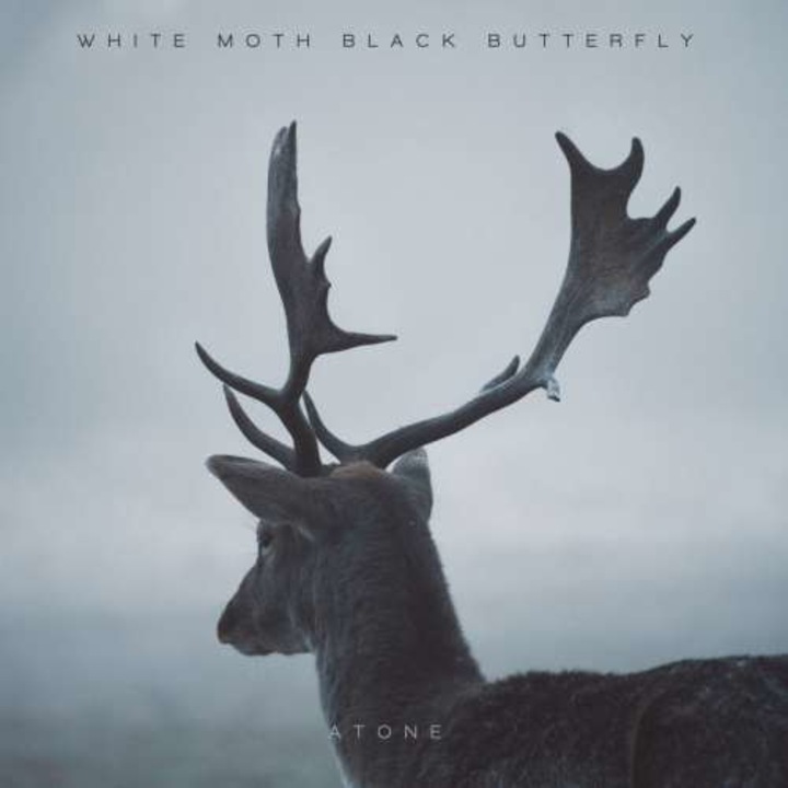 White Moth Black Butterfly: Atone (Expanded) [CD]