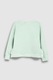 NEXT, Bluza sport cu broderie, Verde pal, 9Y Standard
