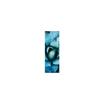 Puzzle Schmidt - 1000 de piese - Alan Shapiro : Blue echever Puzzle Schmidt - 1000 de piese - Alan Shapiro : Blue echever