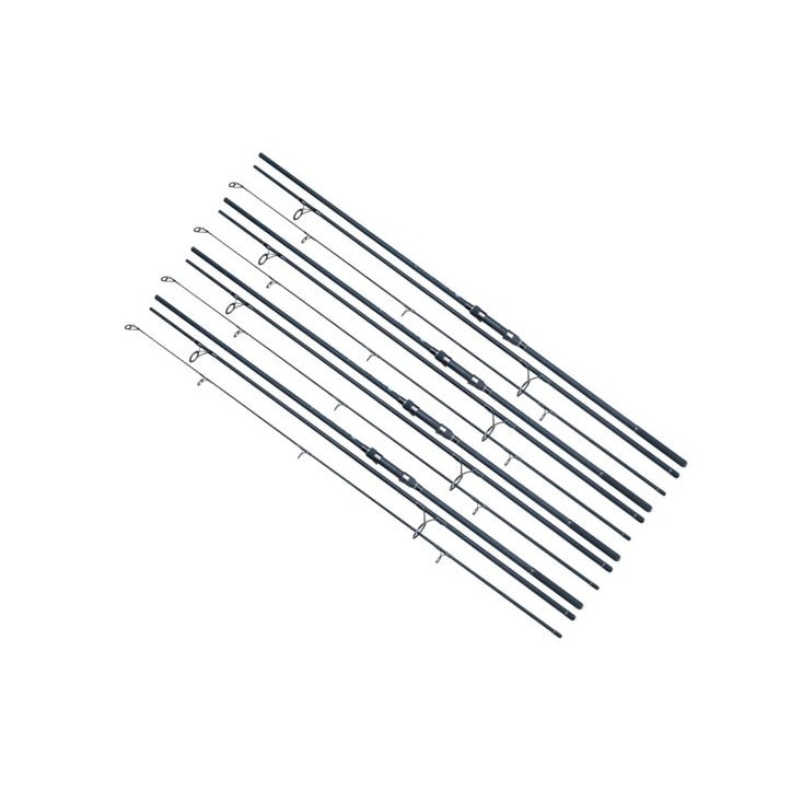 Set 4 Lansete, Baracuda, Evolution Carp, 3.6 m, pentru pesti mari