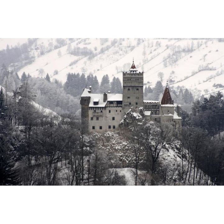 Tablou forex, Bran castle, alb-negru, 100cm x 50cm