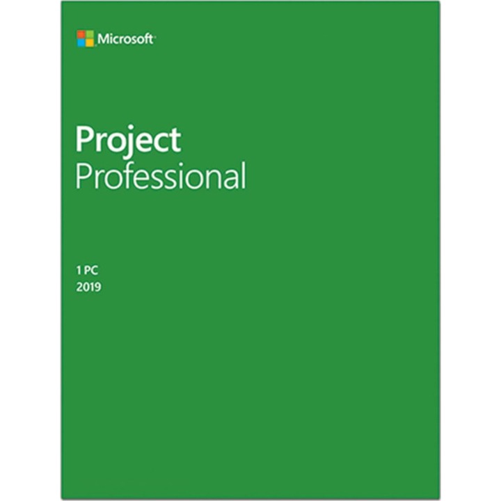 Microsoft Project Professional 2019, román, Windows PC