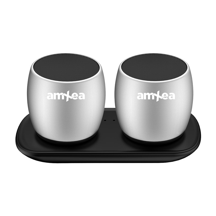 2 darab hordozható hangszóró amXea F1 + töltőállomás, Bluetooth, Szürke