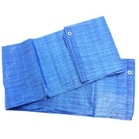 prelata de acoperire plast doo rezistenta la apa 3x 4m 50gm2 albastru imagen 25_1_
0